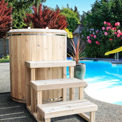 Dundalk LeisureCraft Baltic Cold Plunge Tub